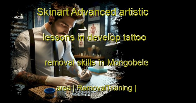 Skinart Advanced artistic lessons in develop tattoo removal skills in Mongobele area | RemovalTraining | RemovalClasses | SkinartTraining-the Democratic Republic of the Congo